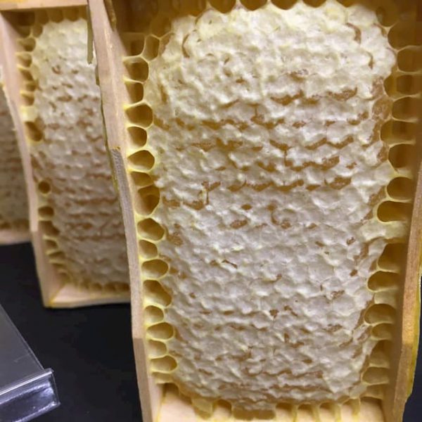Купить мед в сотах