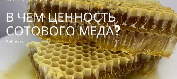 мед в сотах